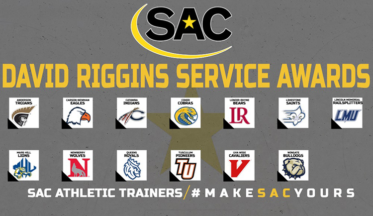 Lions, SAC athletic training staffs named recipients of David Riggins Service Award