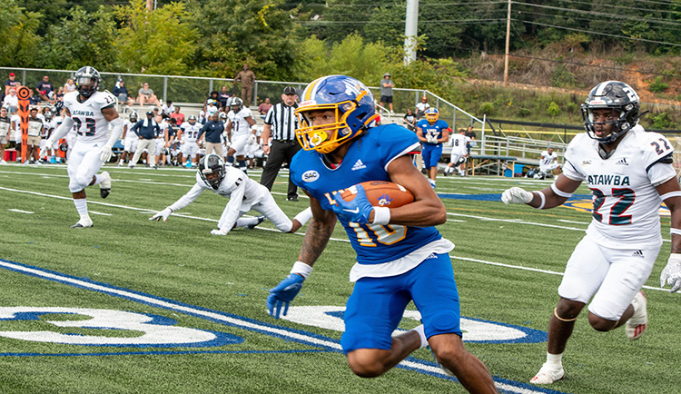 Lions fall to Limestone on road