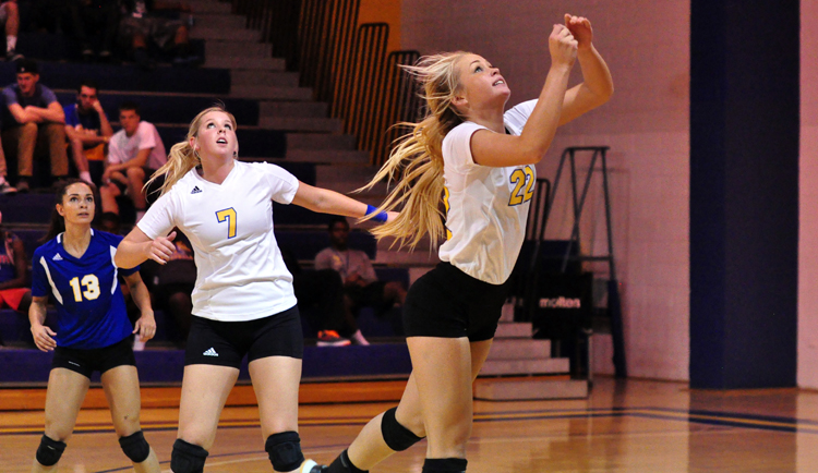 Volleyball Unable to Ground Eagles