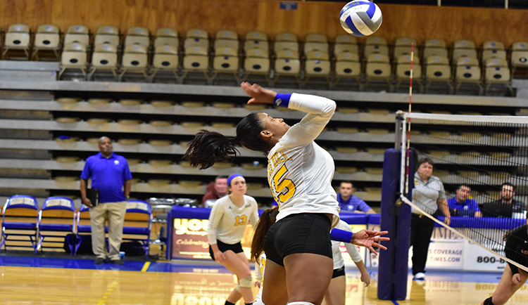 Barbosa leads Lions with 13 kills versus Lincoln Memorial