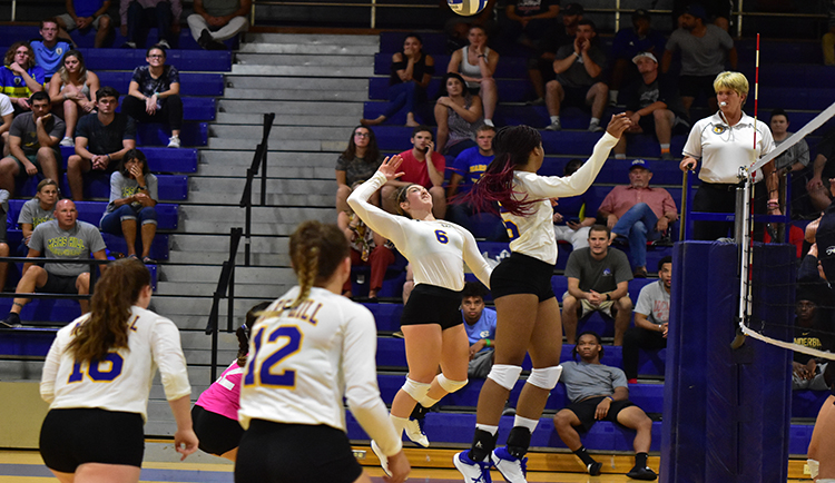 Lions sweep Coker on road in SAC clash