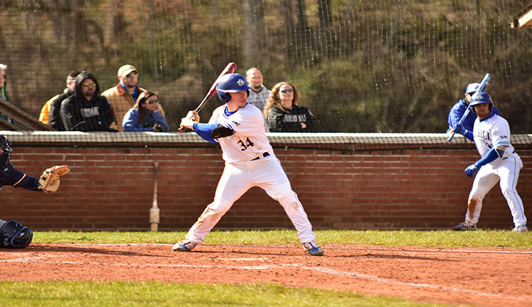 Lions downed by Carson-Newman in SAC doubleheader