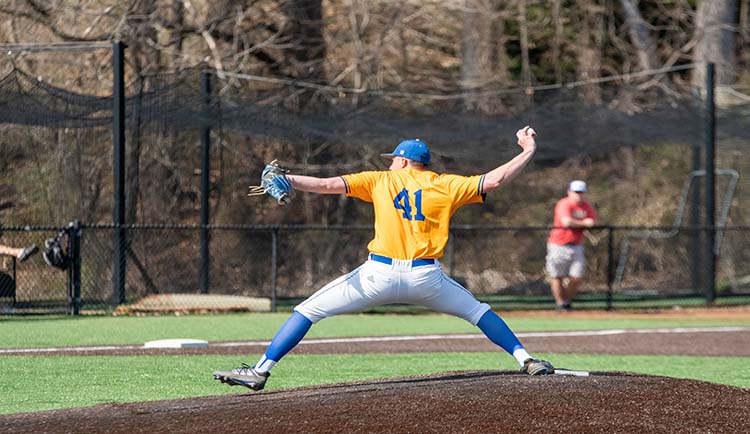 Lions downed in series finale against Catawba
