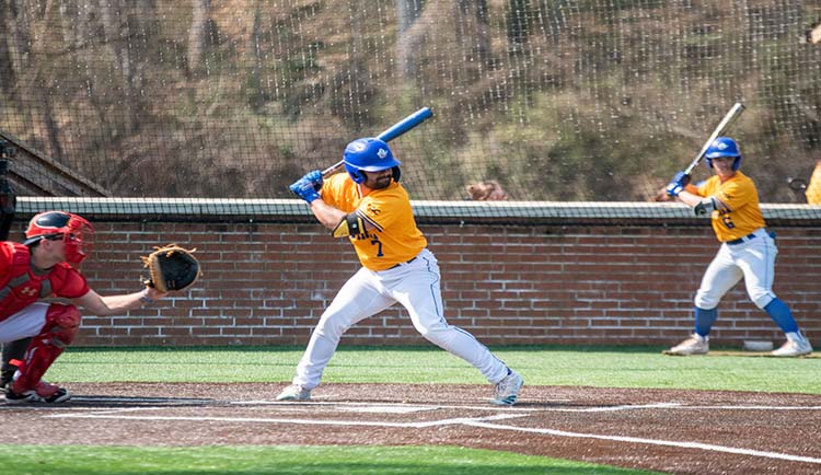 Lions fall to Catawba in extras in SAC Baseball Championships