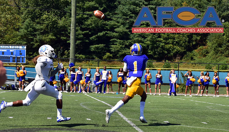 Taylor earns AFCA Division II All-American honors