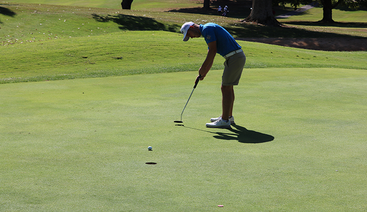 Lions place 14th at Donald Ross Intercollegiate