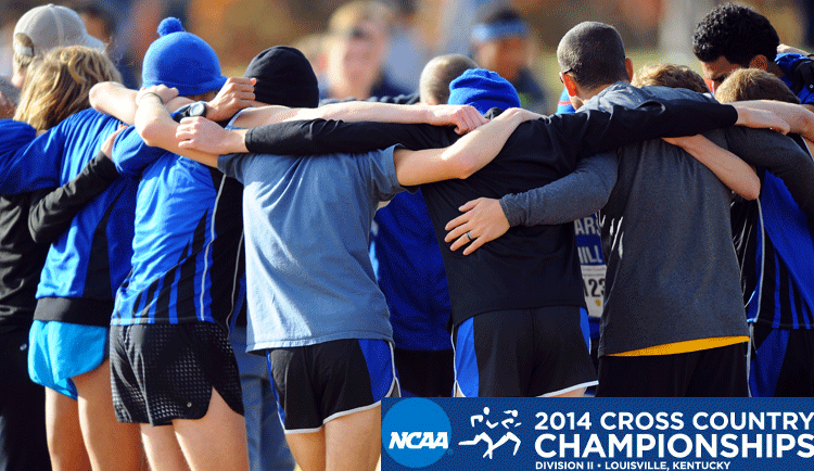 Men's Cross Country Returns to NCAA Championships