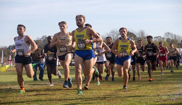 Lions take 5th at NCAA DII Southeast Region Cross Country Championships