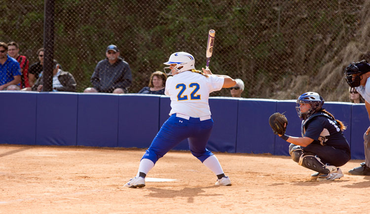 Lions Split Non-Conference Matchup WIth Limestone