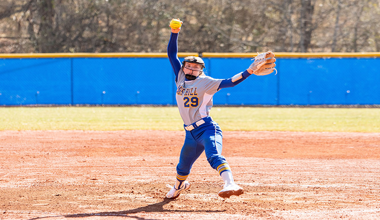 Lions sweep Bluefield State