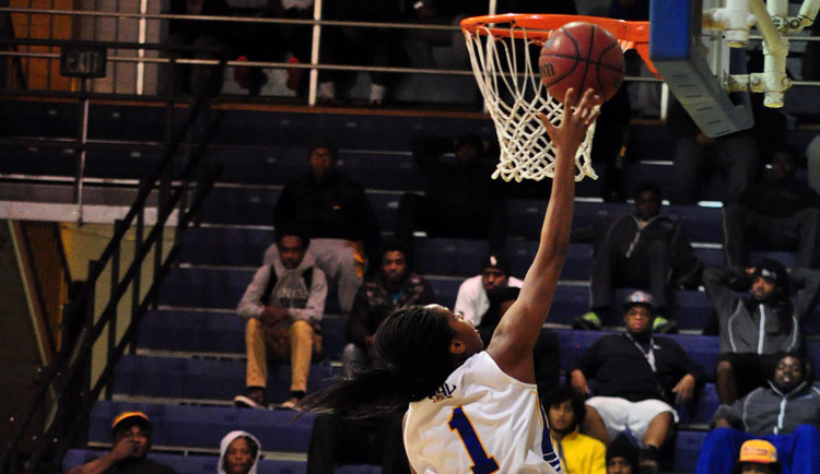 Women's Basketball Loses to Bears