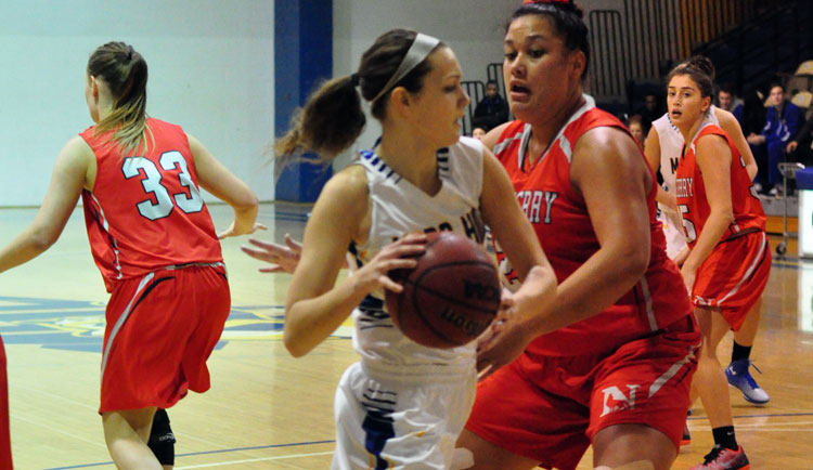 Women's Basketball Falls to Anderson