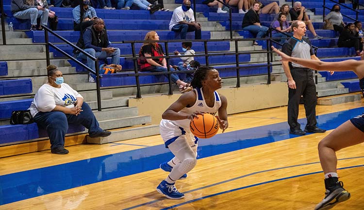 Lions fall to Catawba on Senior Day