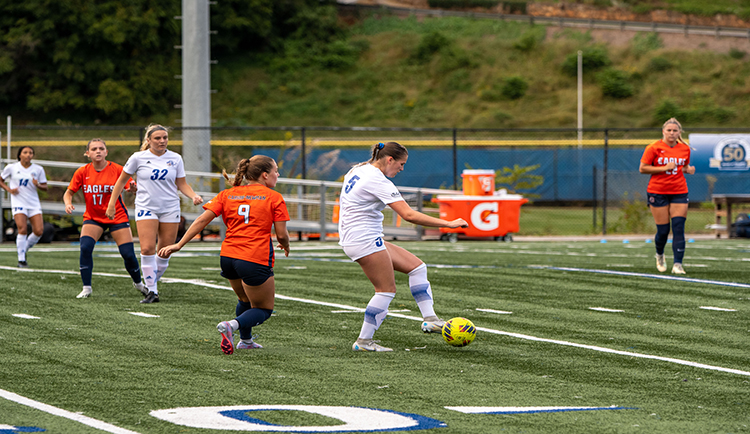 Lions draw, 2-2, with BSU