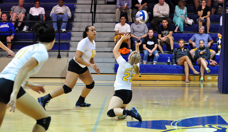 Lions Fall to Francis Marion in Five Sets