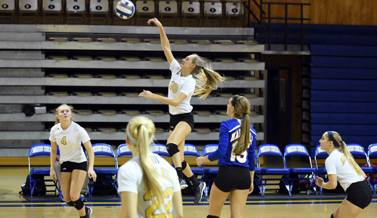 Lions Fall In Five Set Affair At Tusculum