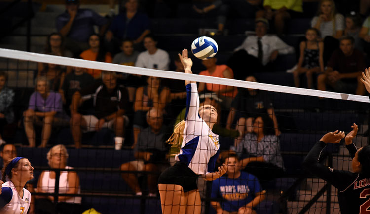 Lions Drop Contest to Catawba In Five Sets