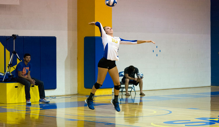 Volleyball Falls to Georgia College and USC Aiken