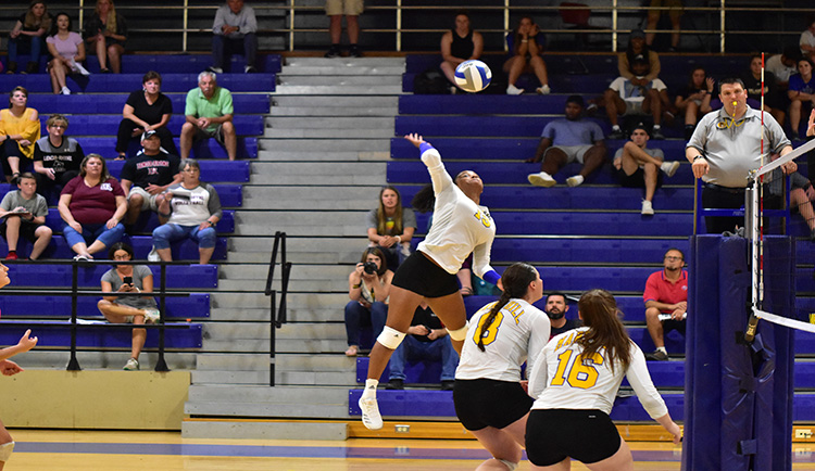 Mars Hill sweeps Coker at home