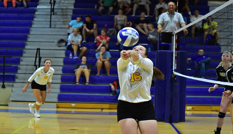 Lions sweep Newberry to win fourth straight