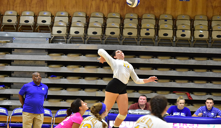 Lions take down LMU in four sets