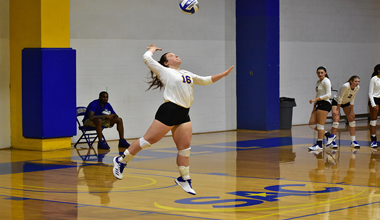 Lions down in Wolves in four to open SAC weekend play