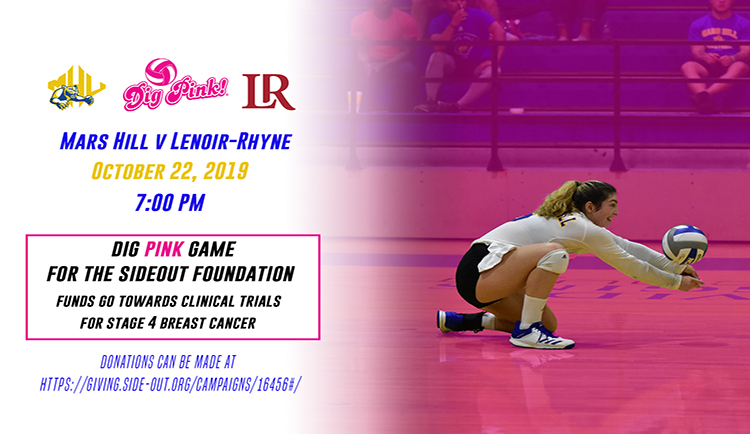 Lions to host annual Dig Pink game Tuesday versus Lenoir-Rhyne