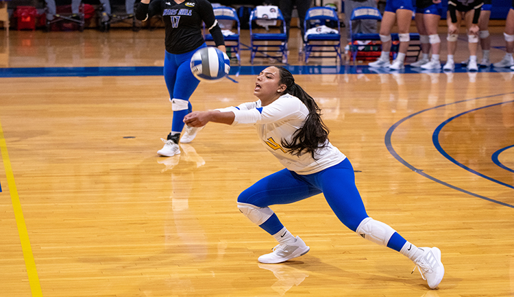 Lions sweep Winston-Salem State in non-conference play